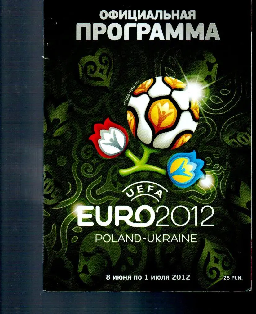 Общая программа чемпионат Европы 2012 Польша-Украина