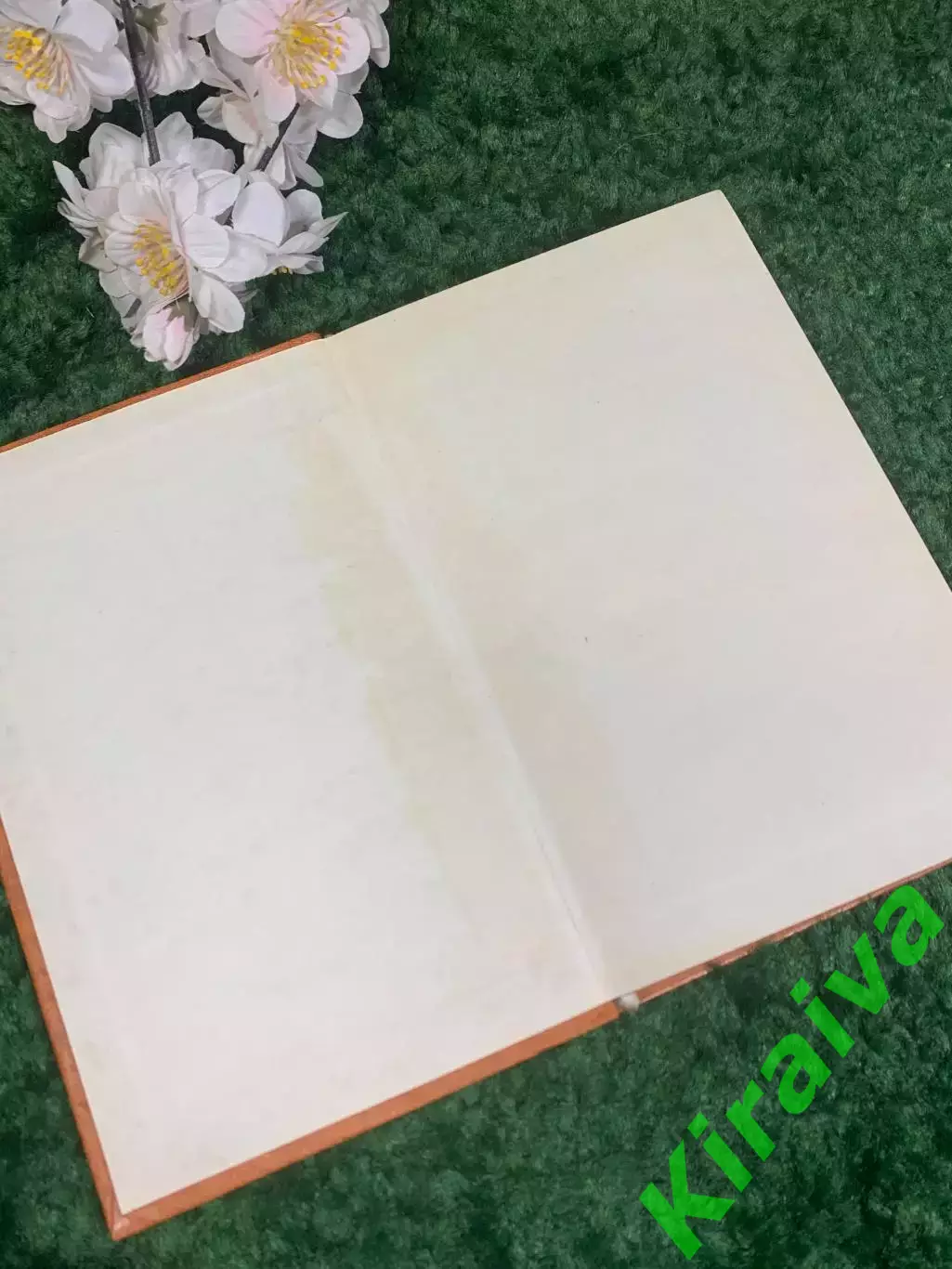 Книга роман приключения путешествия Похитители бриллиантов Н4228 1