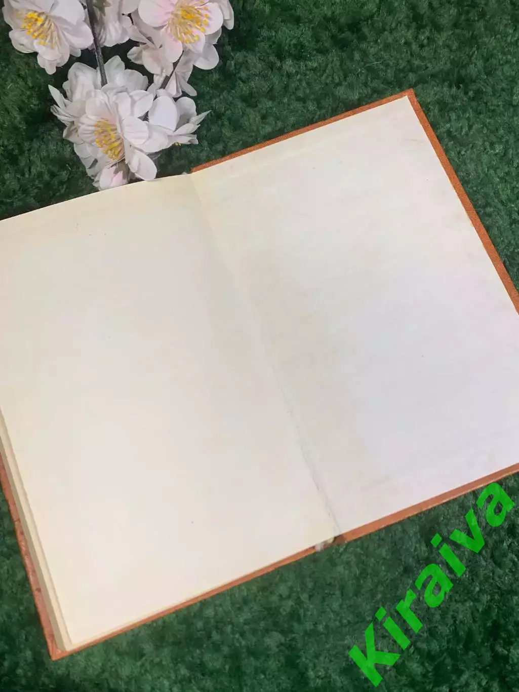 Книга роман приключения путешествия Похитители бриллиантов Н4228 6