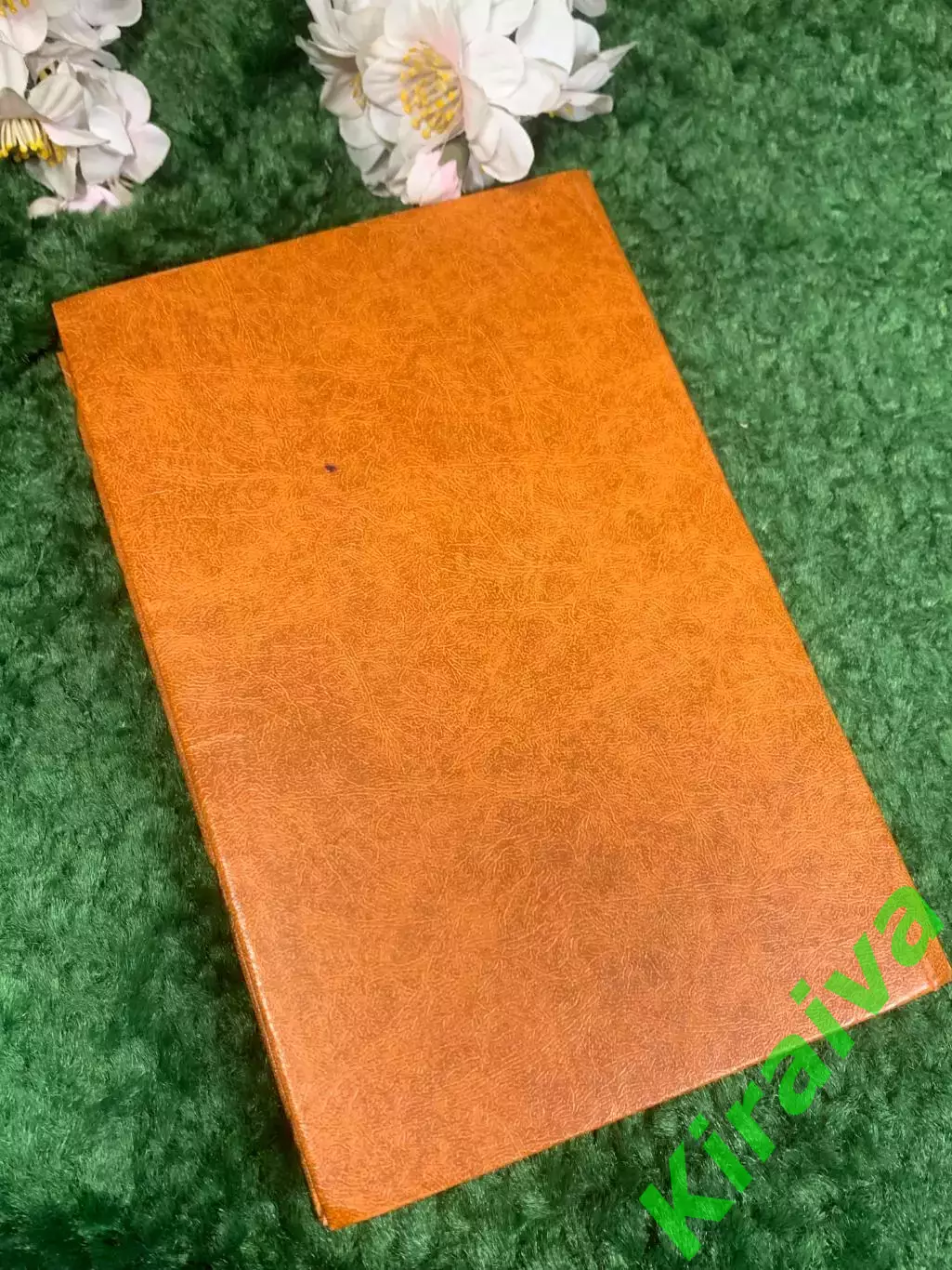 Книга роман приключения путешествия Похитители бриллиантов Н4228 7