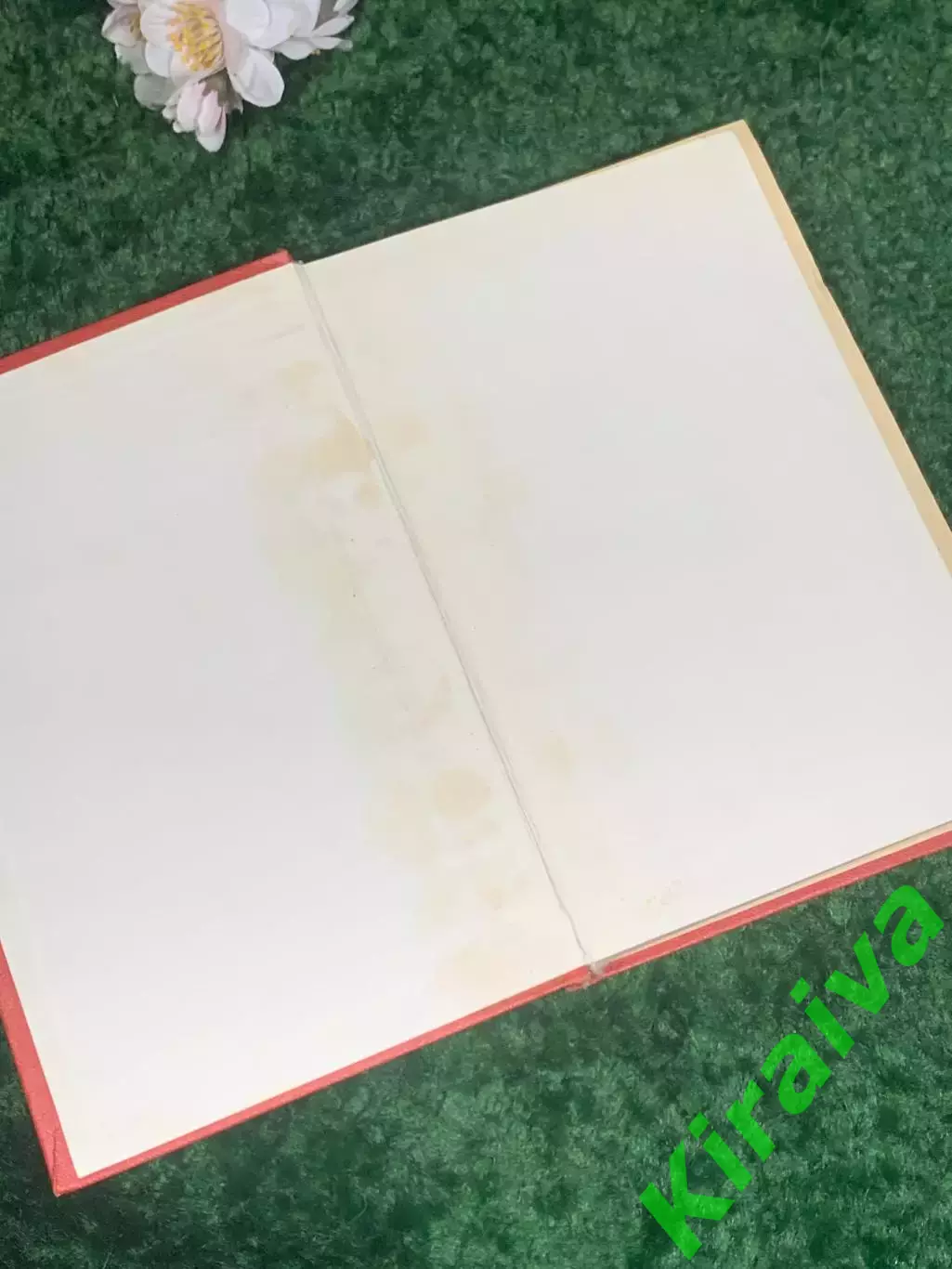 Книга «Рассказы о животных» Э. Сетон-Томпсон, 1981 г., Н2404 1