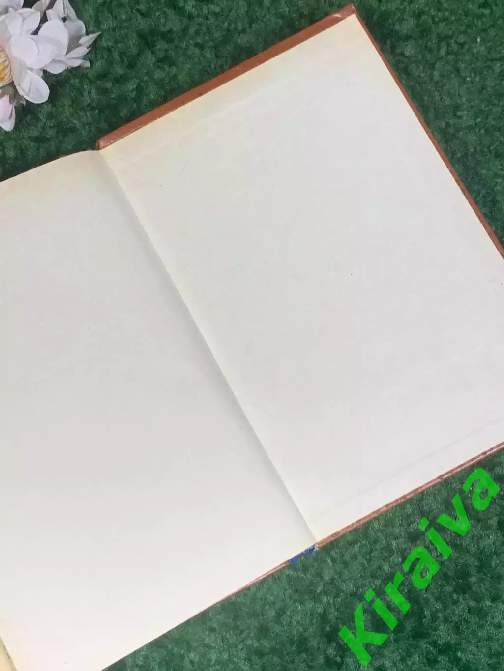 Книга роман «Пушкин в изгнании» И. А. Новиков, 1982 г., Н2405 7