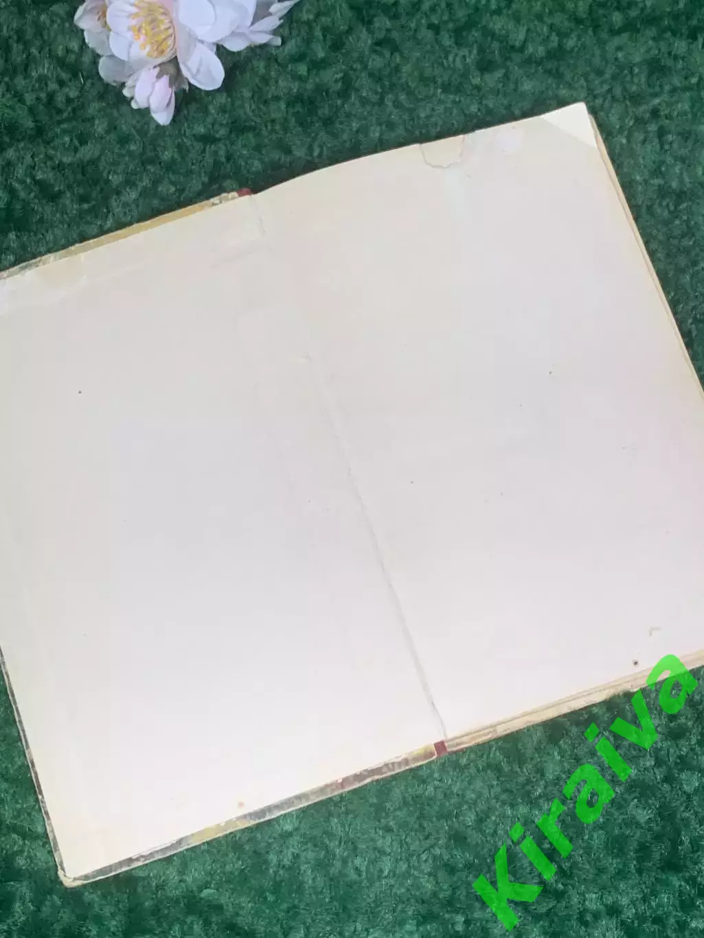 Книга научно-фантастический роман «Земля Санникова» В.А. Обручев, 1955 г., Н2406 1