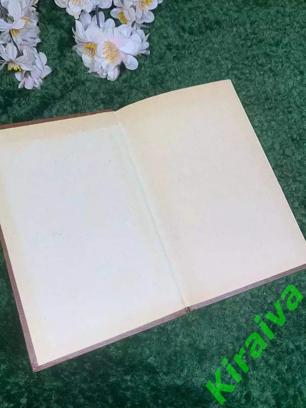 Книга «История русов» («Історія русів»), 1991 г., Н2429 1