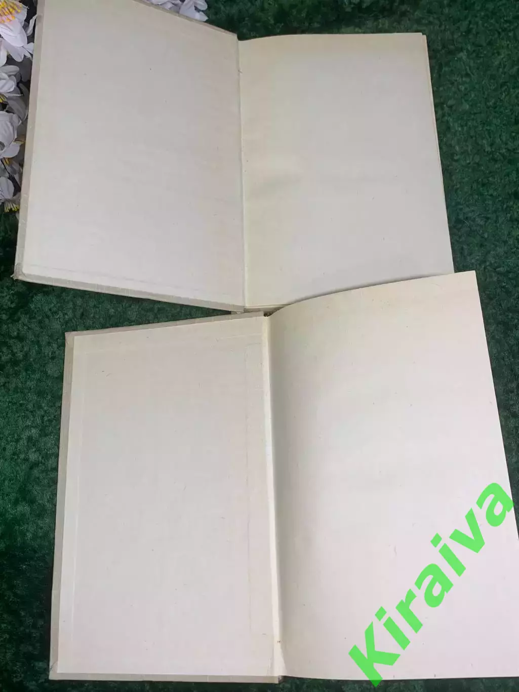 Книга, комплект из двух томов «Последний изгнанник» Джеймс Олдридж, 1963 г Н2430 2