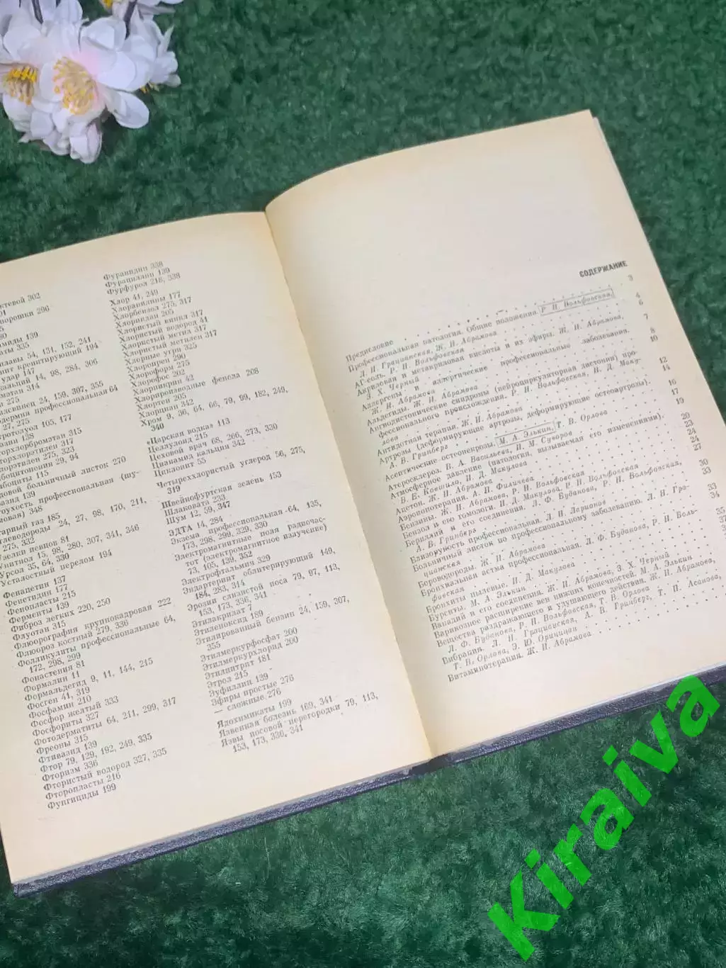 Книга медицина «Справочник по профессиональной патологии» 1981 г., Н2432 Л.Н. Гр 5