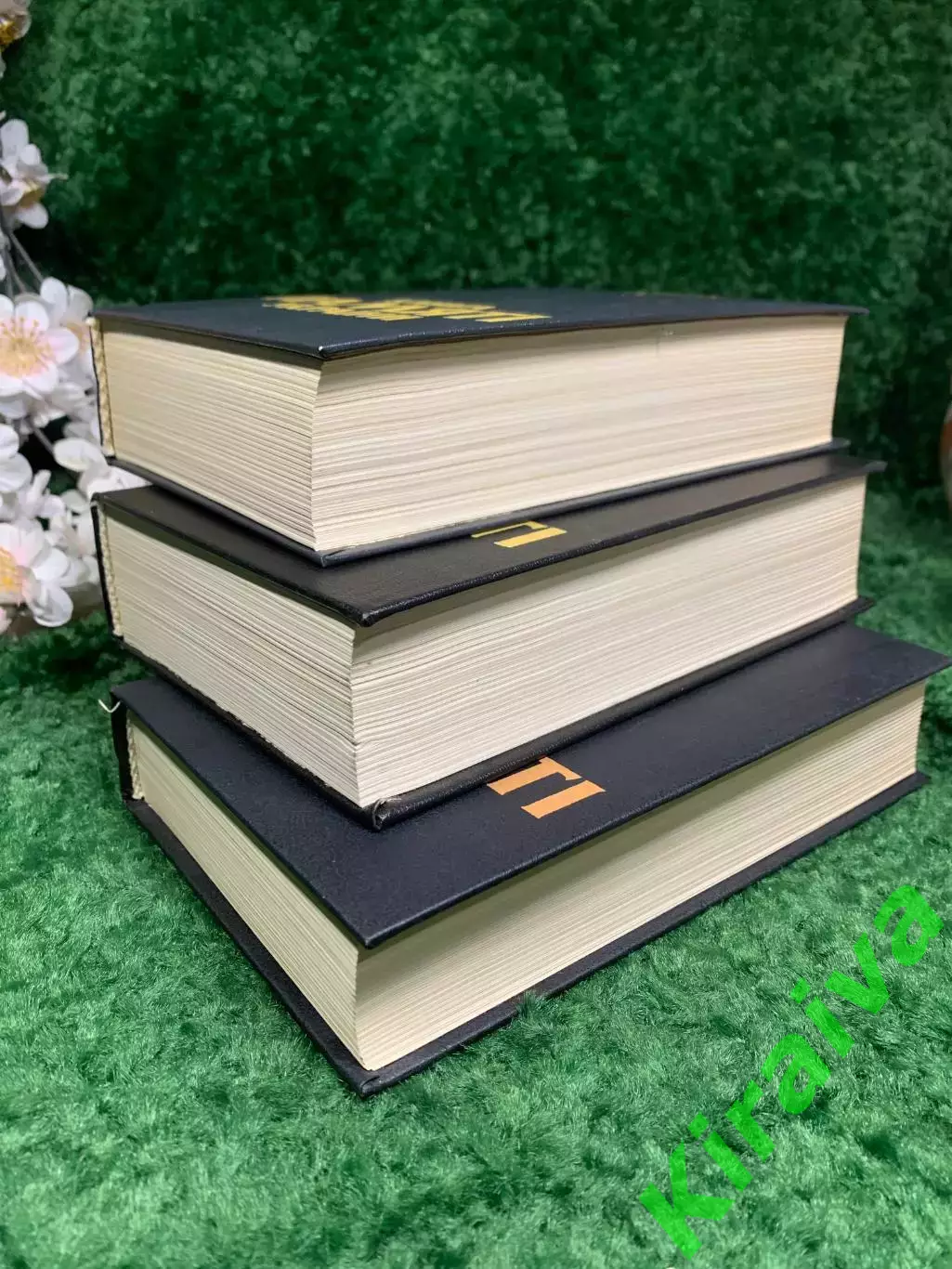 Книга, комплект из 3-х томов издания «Книга Пам’яті України» для Киева Н2436 6