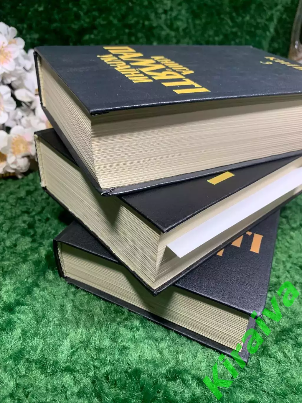 Книга, комплект из 3-х томов издания «Книга Пам’яті України» для Киева Н2436,1 3