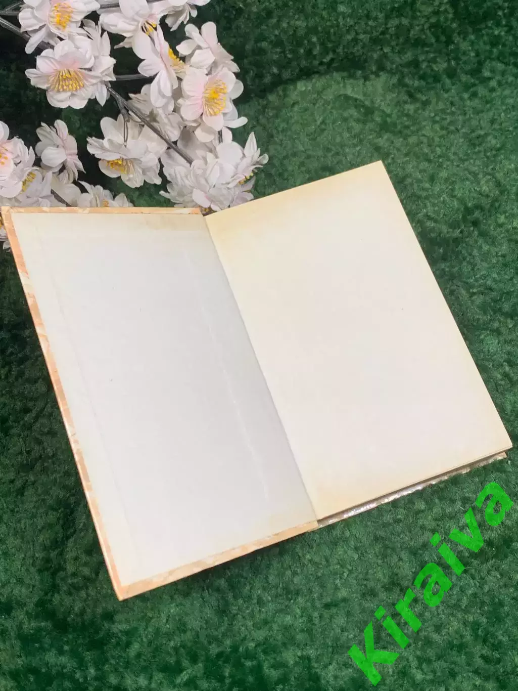 Книга исторический роман «Гойя, или Тяжкий путь познания» Лион Фейхтвангер Н2440 1