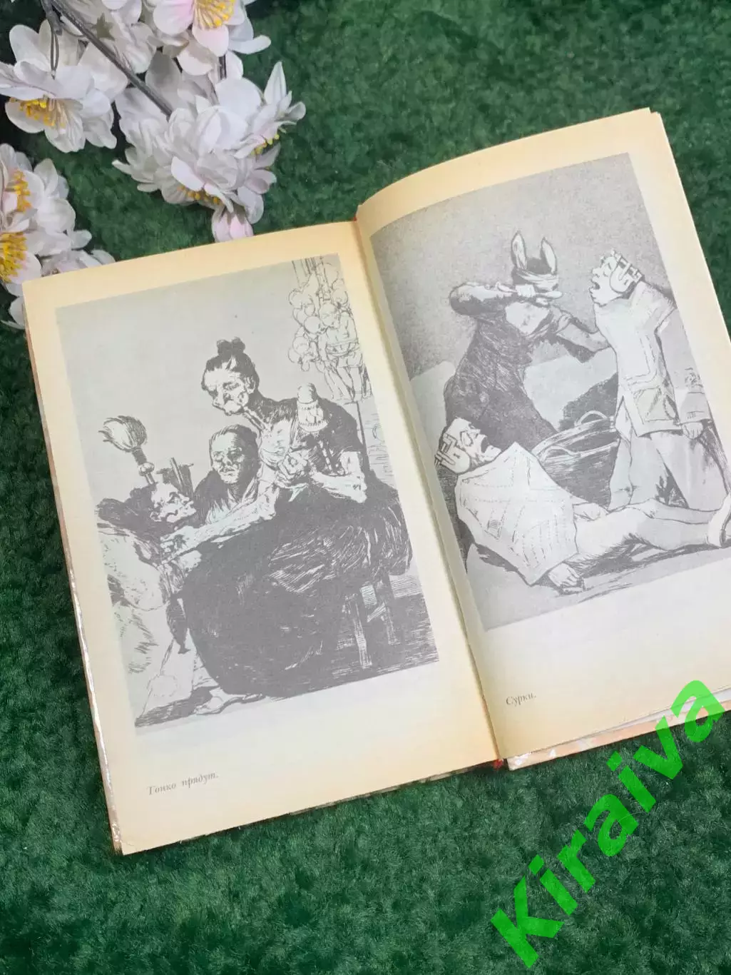 Книга исторический роман «Гойя, или Тяжкий путь познания» Лион Фейхтвангер Н2440 5
