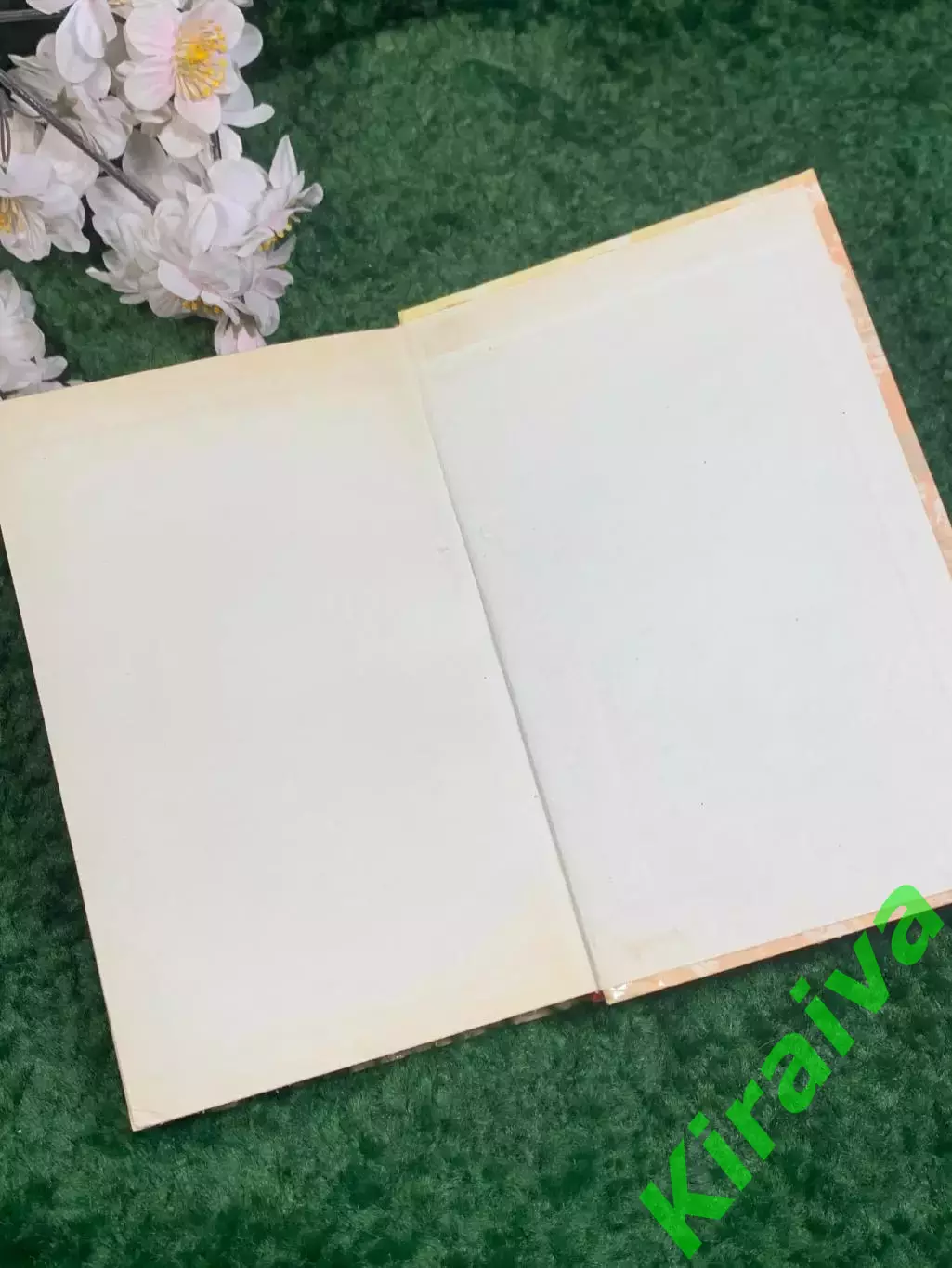 Книга исторический роман «Гойя, или Тяжкий путь познания» Лион Фейхтвангер Н2440 7