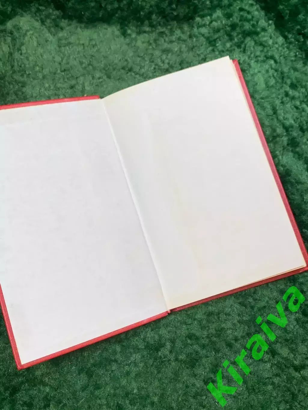 Книга исторический роман «Когда король губит Францию» Морис Дрюон, 1983 г. Н4057 1
