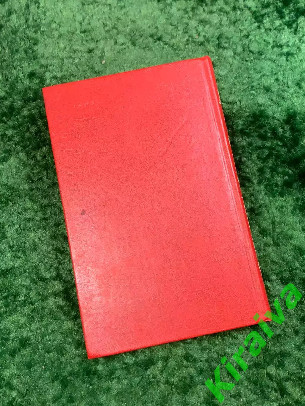 Книга исторический роман «Когда король губит Францию» Морис Дрюон, 1983 г. Н4057 7