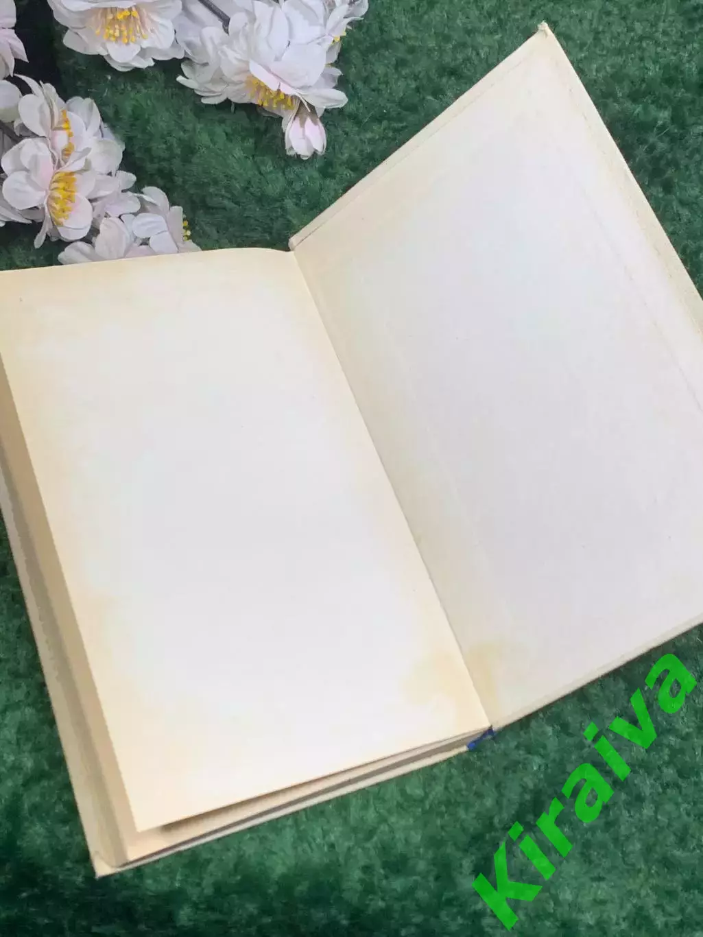 Книга исторический роман «Чингиз-хан» В. Г. Ян (Василий Янчевецкий), Н2445 7