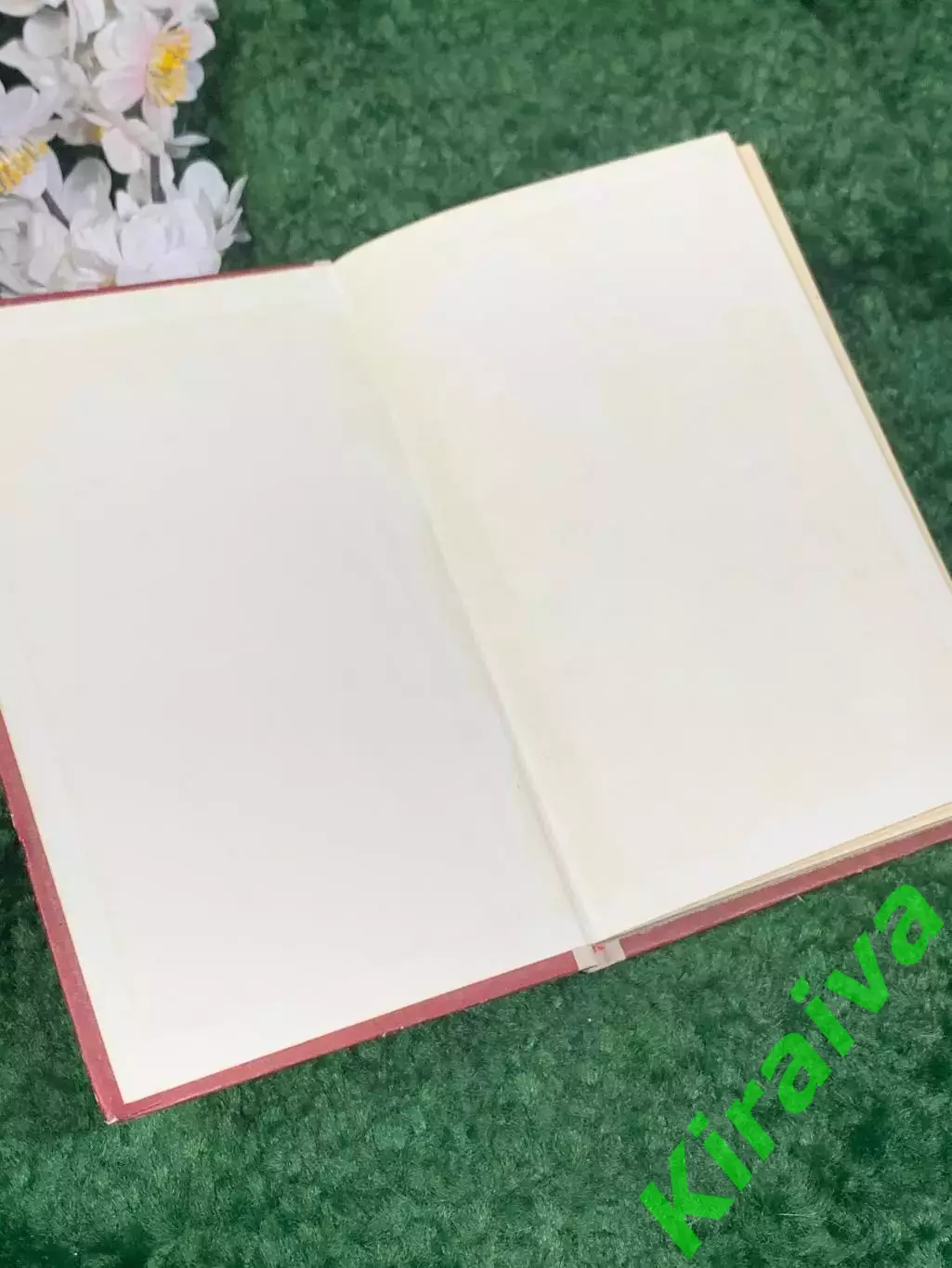 Книга мемуары «Батальоны идут на запад» И. Г. Попов, 1977 год, Н2459 1