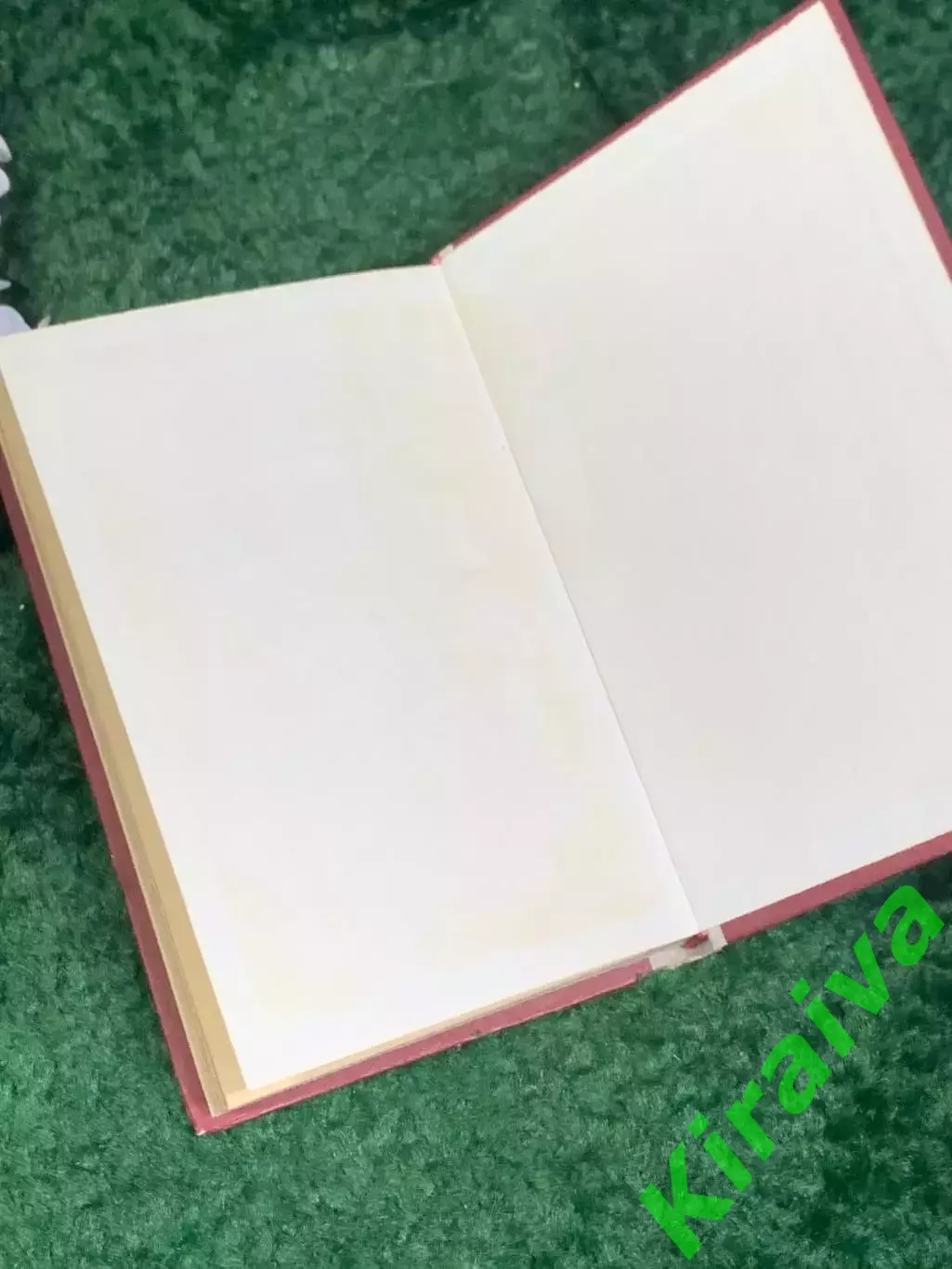 Книга мемуары «Батальоны идут на запад» И. Г. Попов, 1977 год, Н2459 6