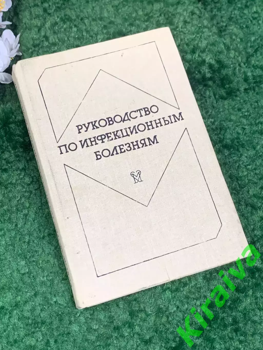 Книга медицина «Руководство по инфекционным болезням», 1986 г., Н2460Фундамент