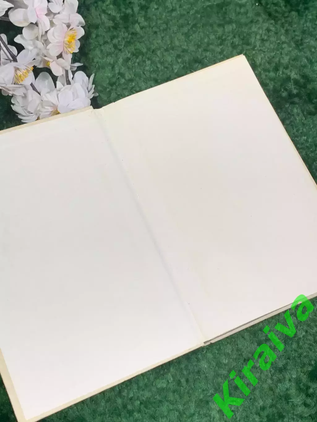 Книга медицина «Руководство по инфекционным болезням», 1986 г., Н2460Фундамент 1