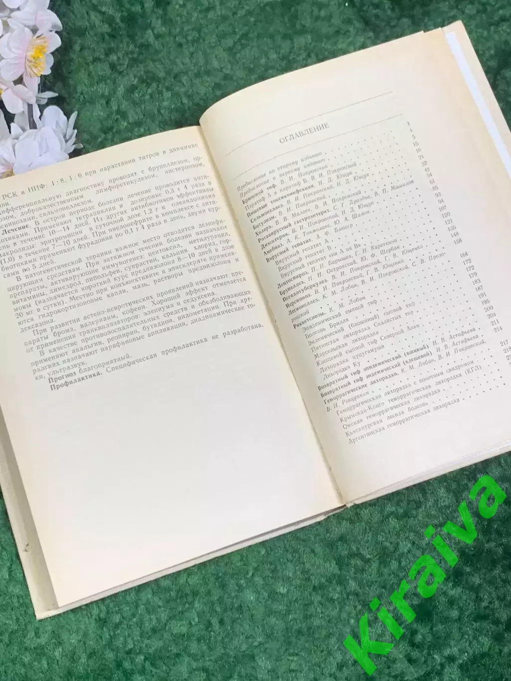 Книга медицина «Руководство по инфекционным болезням», 1986 г., Н2460Фундамент 5