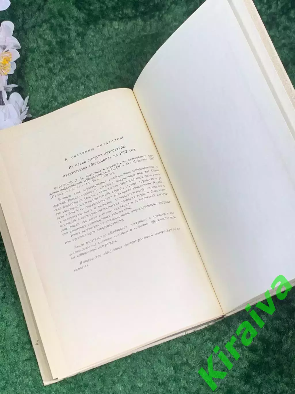 Книга медицина «Руководство по инфекционным болезням», 1986 г., Н2460Фундамент 7