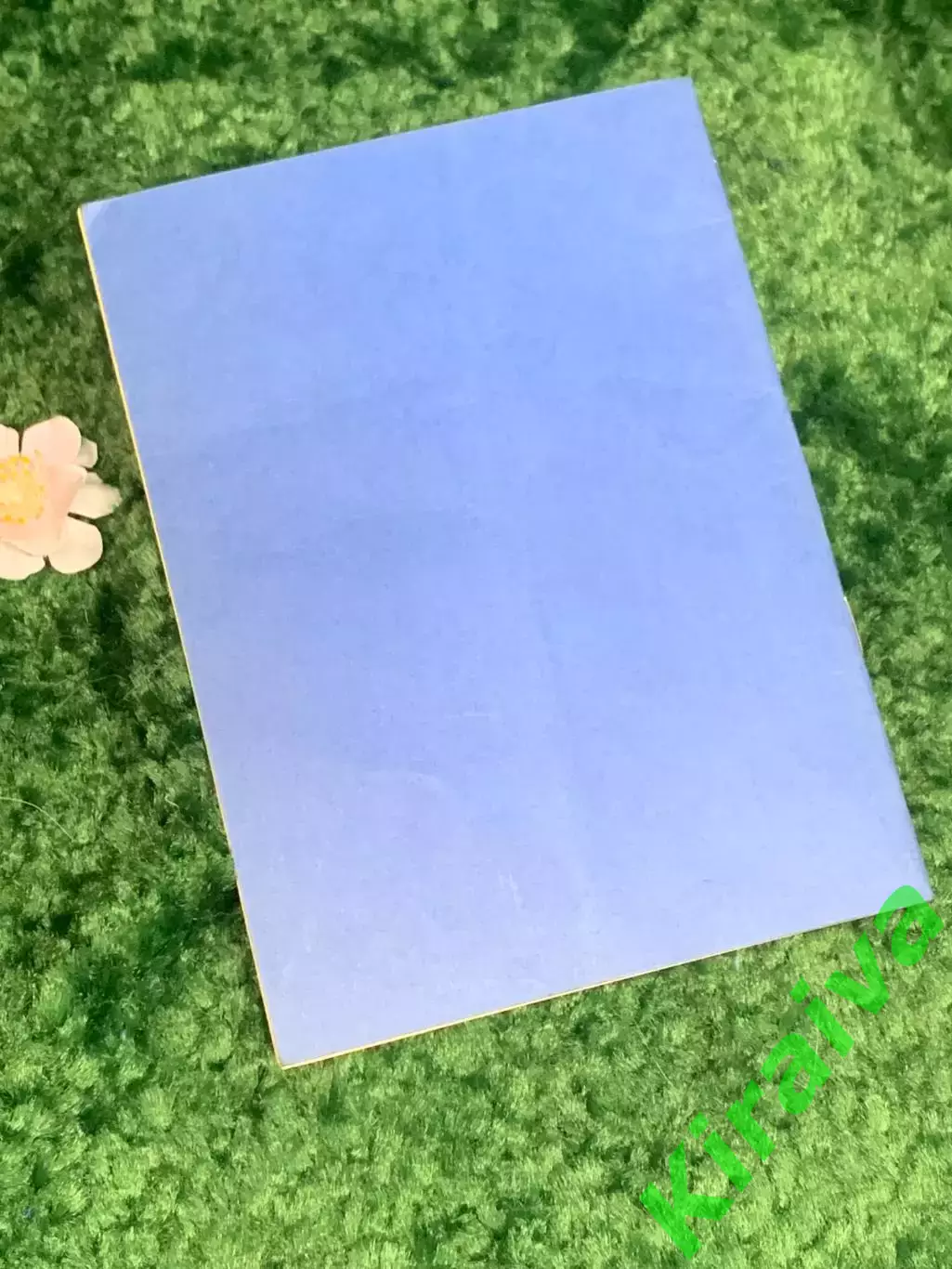 Книга брошюра «Типовой устав садоводческого товарищества», 1987 г., Н2484 3