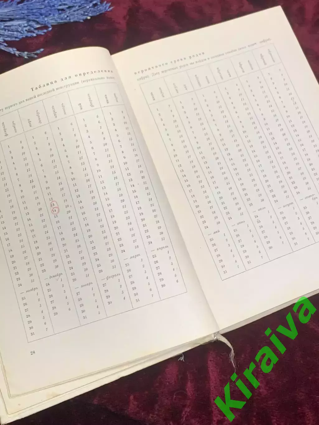 Книга по уходу за ребёнком «Наш ребёнок» («Наша дитина»), 1960 год, Н2499 4