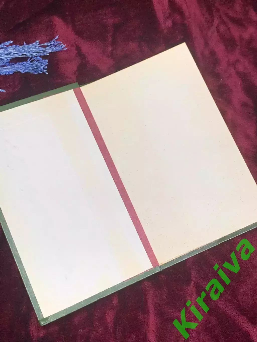 Книга «Шиацу: Японская терапия нажатием пальцами», О Намикоши, 1986 год, Н2506 1