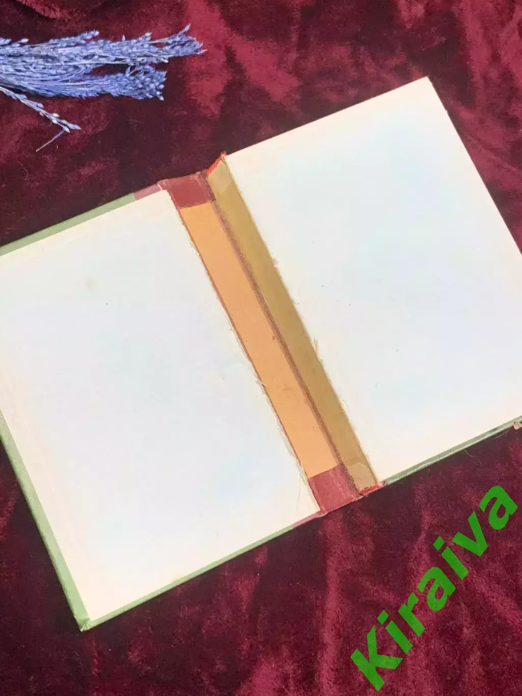 Книга роман «Алланъ Кватерменъ», Райдер Хаггард, 1902 год, самиздат Н2507 1