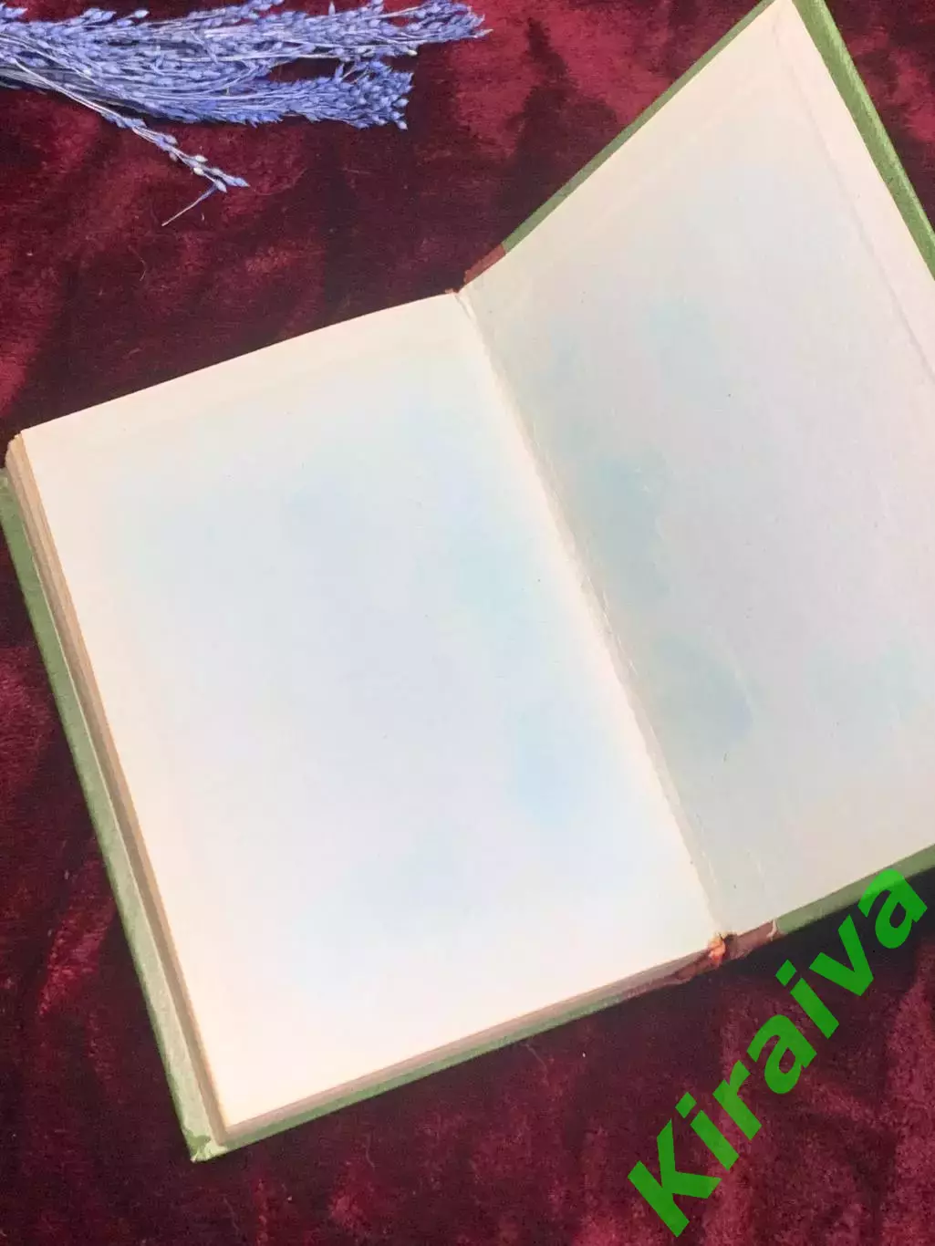 Книга роман «Алланъ Кватерменъ», Райдер Хаггард, 1902 год, самиздат Н2507 6