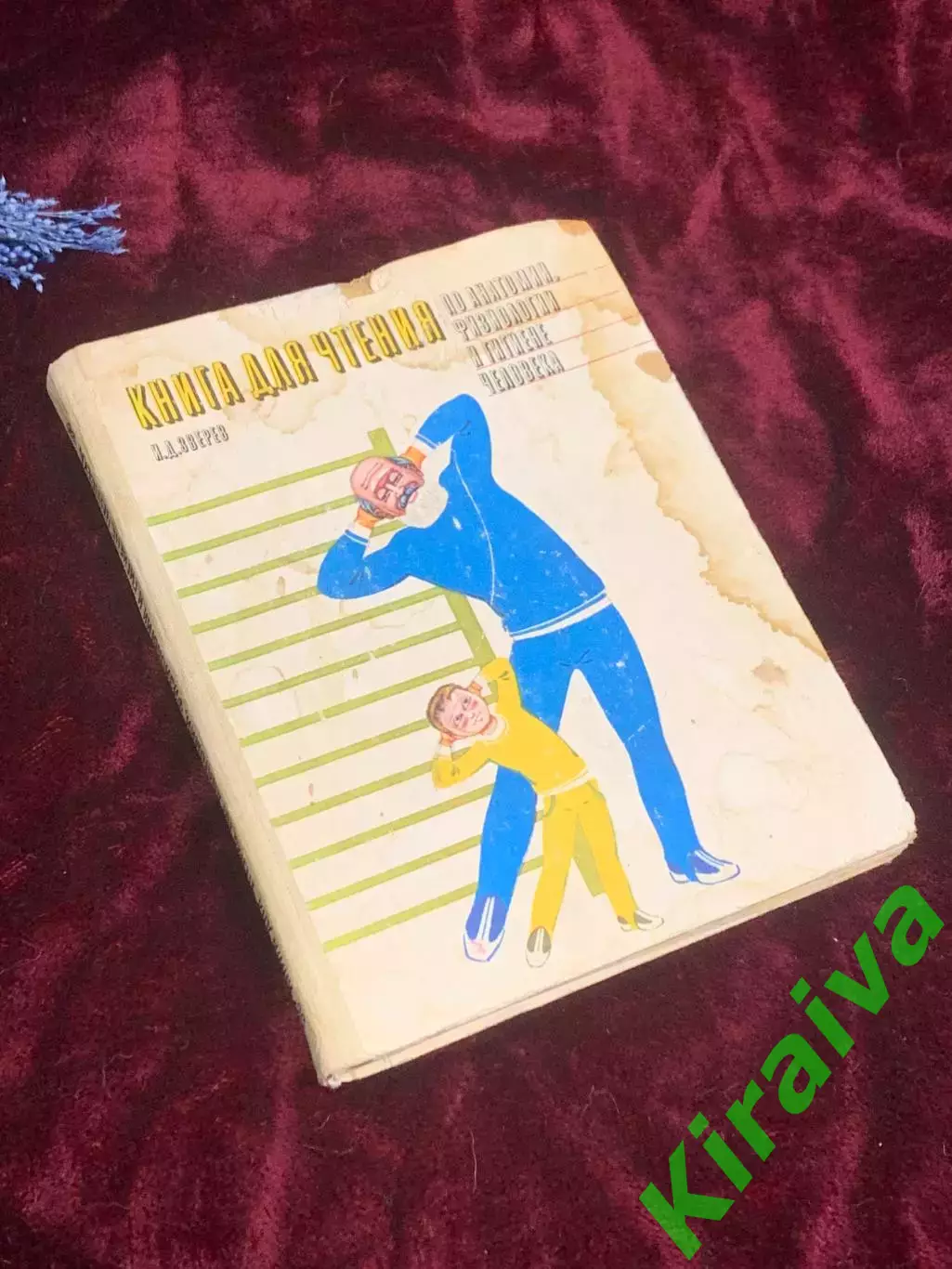 Книга пособие для учащихся по анатомии, и гигиене человека «Физиология» Н2511