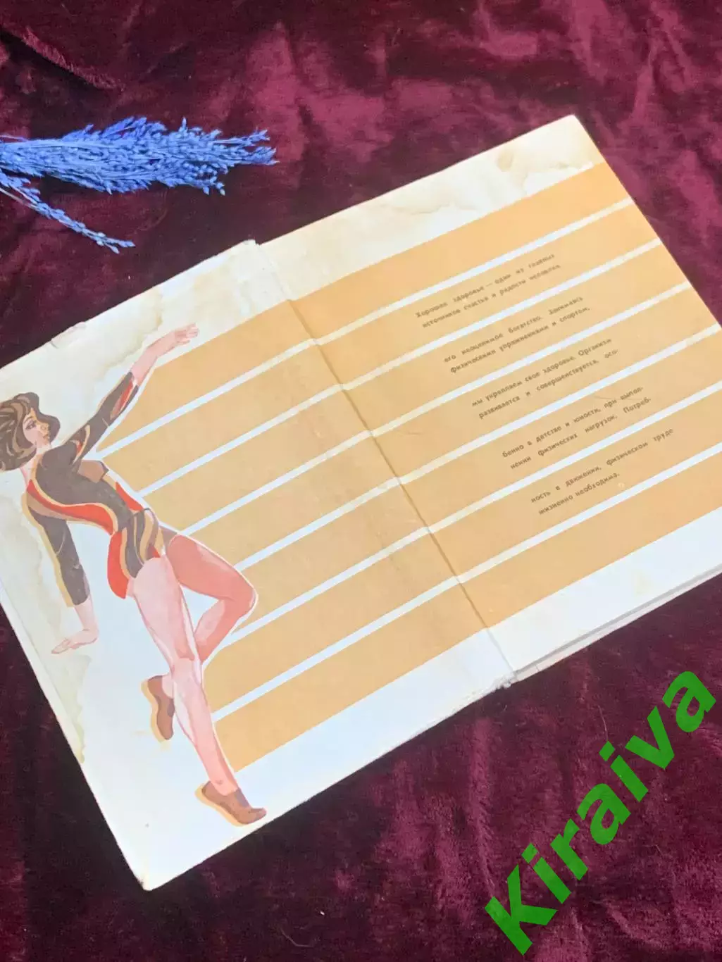 Книга пособие для учащихся по анатомии, и гигиене человека «Физиология» Н2511 1