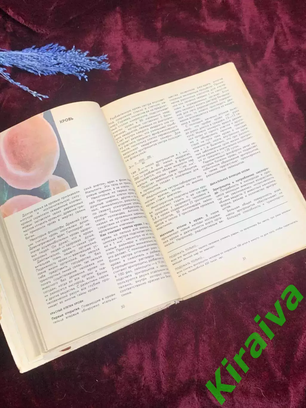 Книга пособие для учащихся по анатомии, и гигиене человека «Физиология» Н2511 4