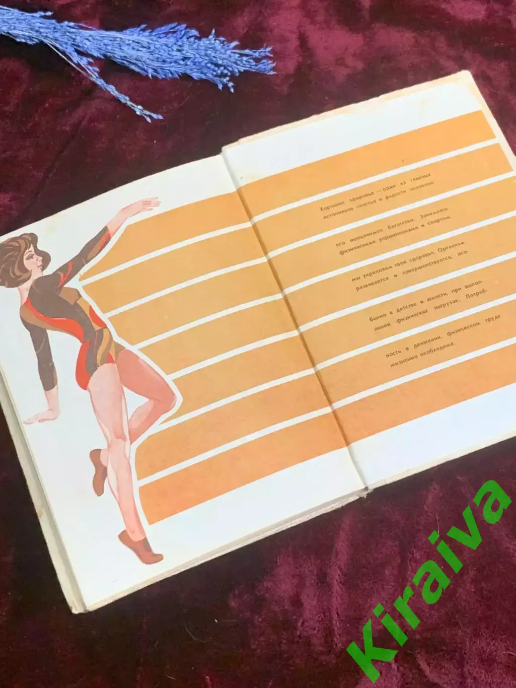 Книга пособие для учащихся по анатомии, и гигиене человека «Физиология» Н2511 7