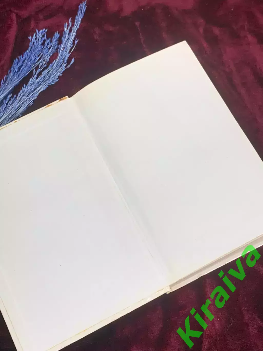 Книга детской речи «От двух до пяти» Корней Чуковский, 1983 г., Н2523 1