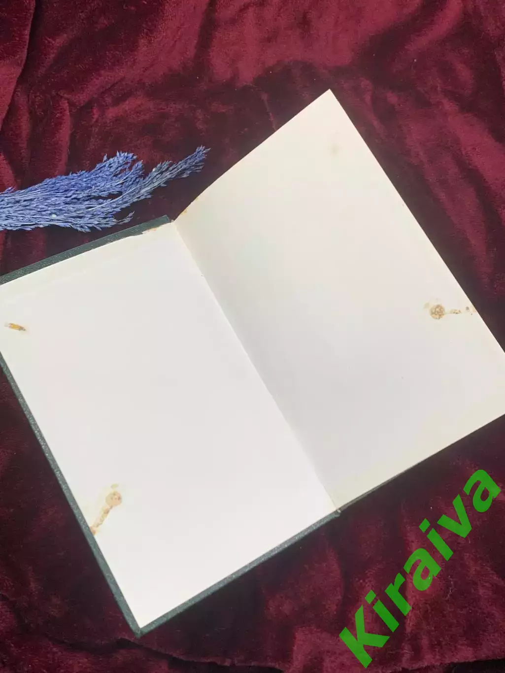 Книга приключенческий исторический роман «Наследник из Калькутты» Н2524 Штильма 1