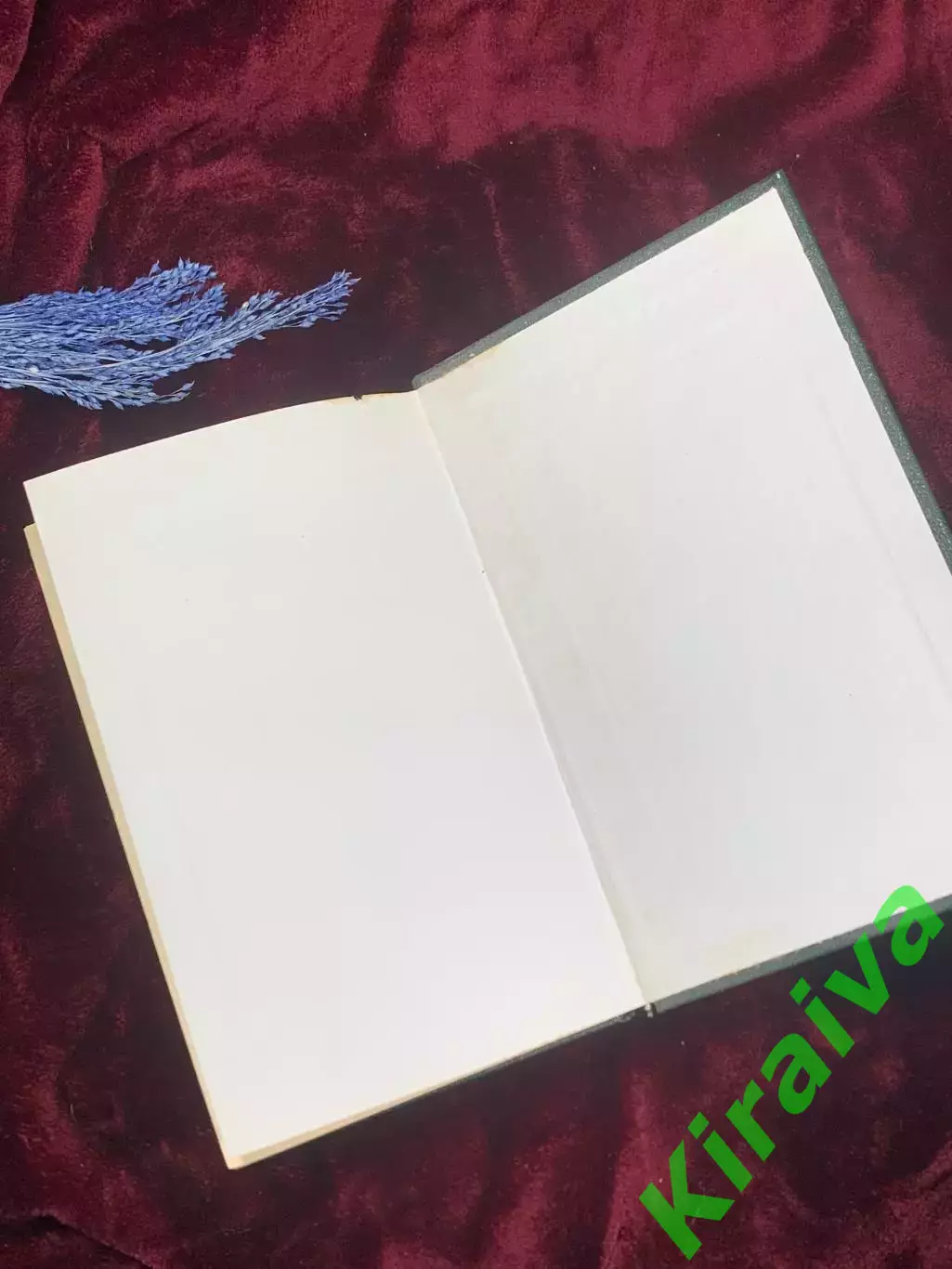 Книга приключенческий исторический роман «Наследник из Калькутты» Н2524 Штильма 6