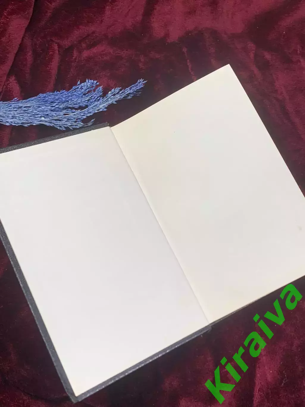 Книга сатирический роман-пенталогия «Гаргантюа и Пантагрюэль Франсуа Рабле Н2526 1