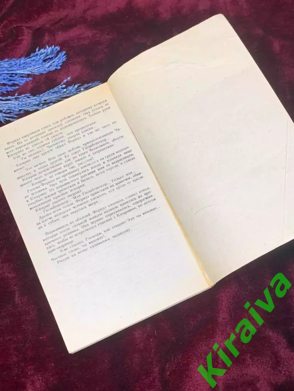 Книга роман «Птичка певчая» (тур. ?al?ku?u) Решад Нури Гюнтекин, 1991 г., Н2527 4