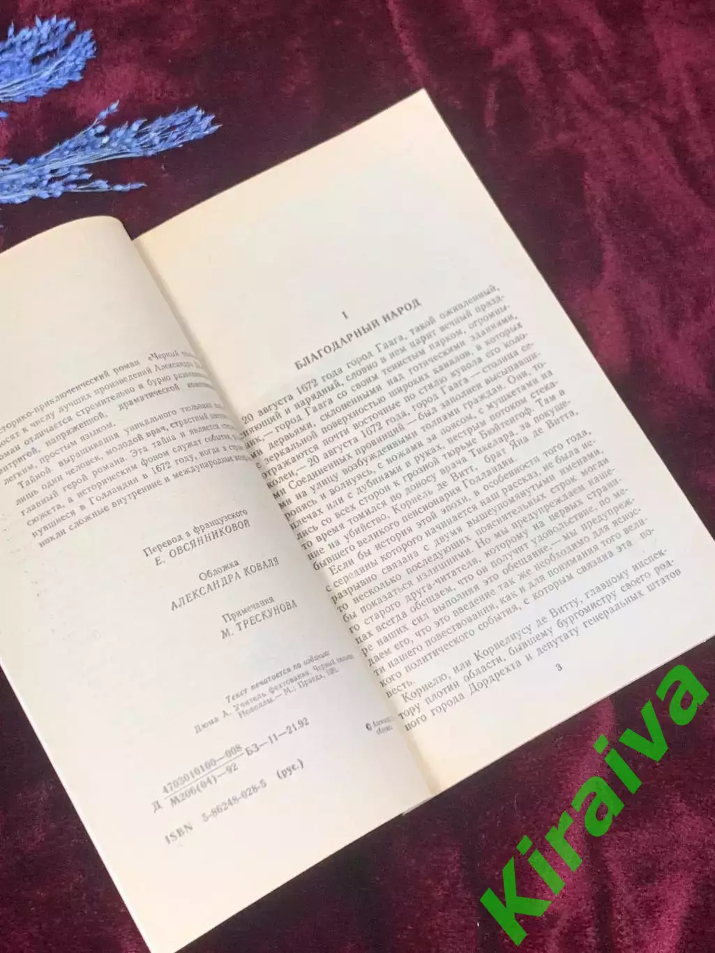 Книга исторический роман «Чёрный тюльпан» Александр Дюма, 1992 г., Киев, Н2528 2