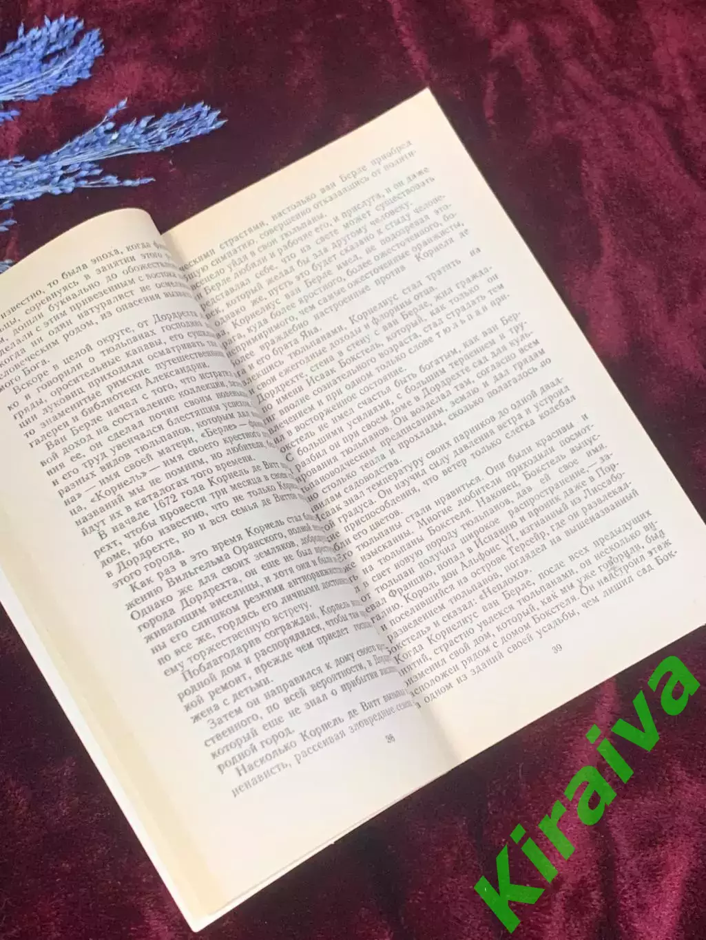 Книга исторический роман «Чёрный тюльпан» Александр Дюма, 1992 г., Киев, Н2528 3