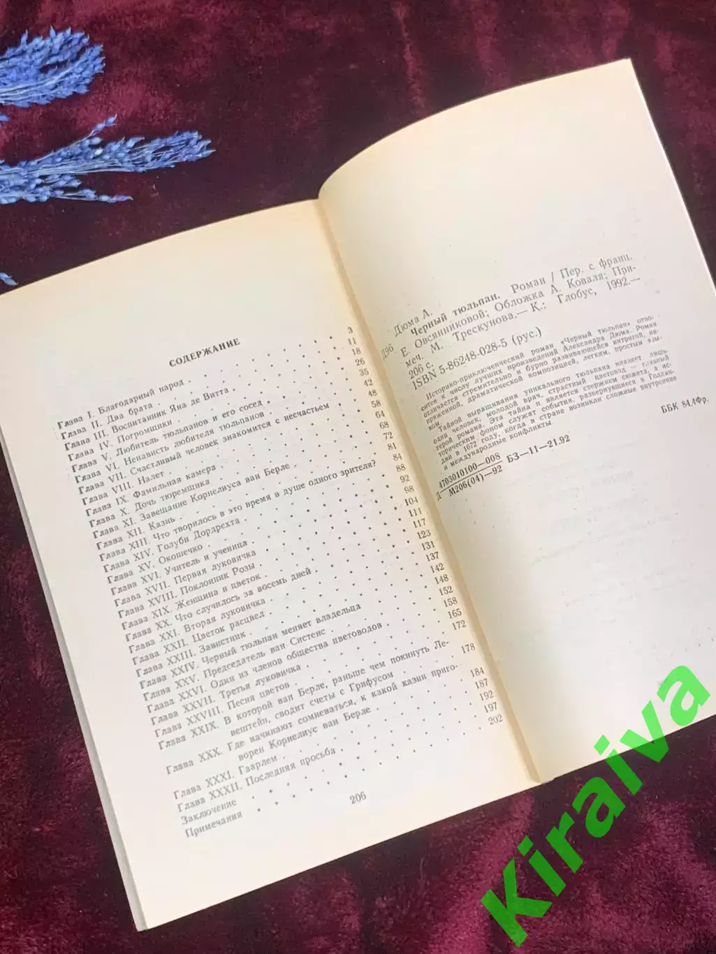 Книга исторический роман «Чёрный тюльпан» Александр Дюма, 1992 г., Киев, Н2528 4