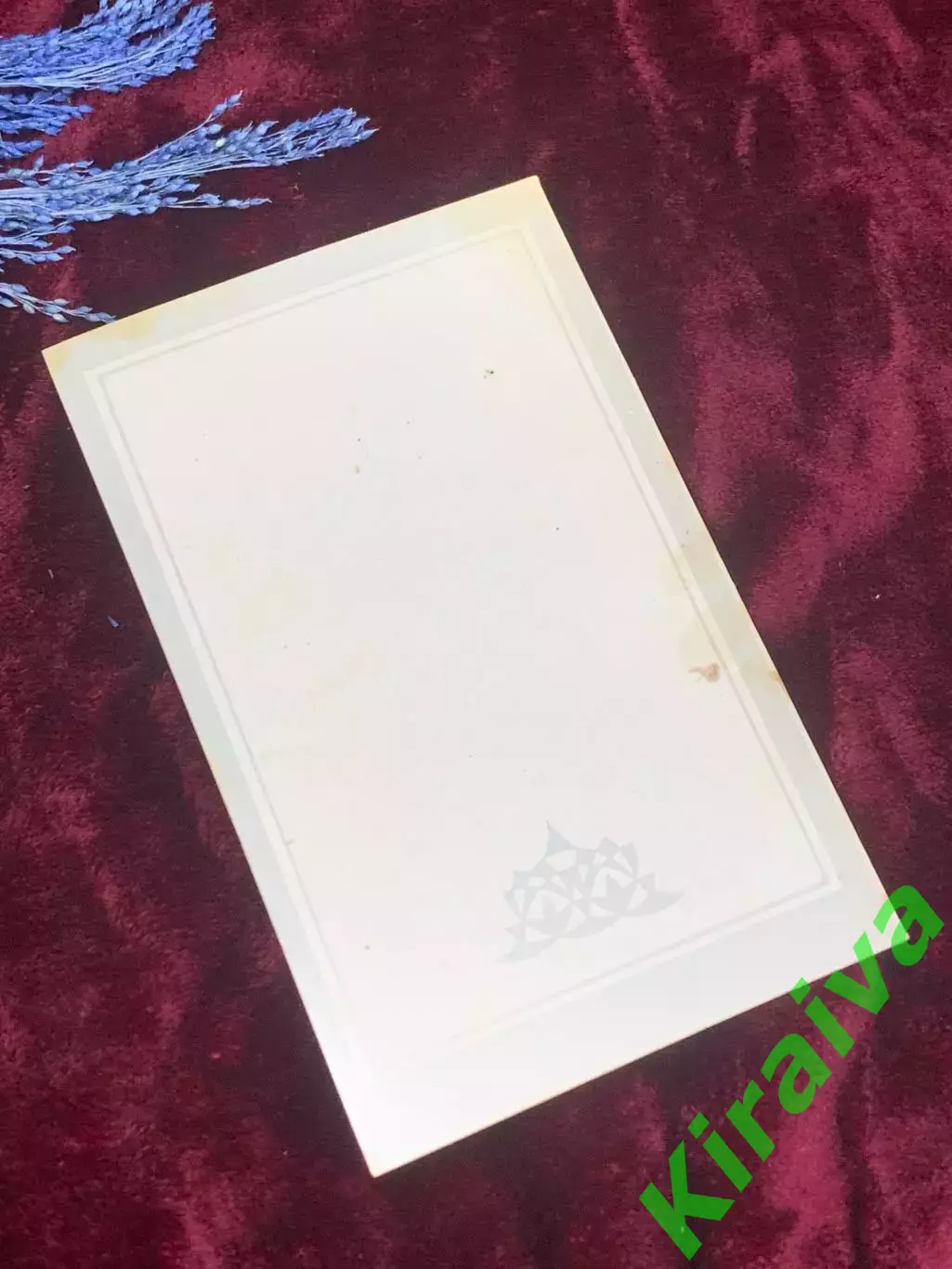 Книга исторический роман «Чёрный тюльпан» Александр Дюма, 1992 г., Киев, Н2528 6