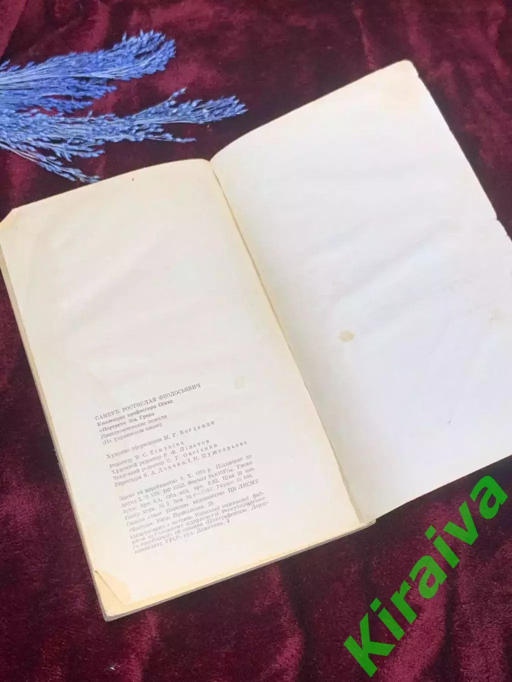 Книга детектив «Коллекция профессора Стаха. Портрет Эль Греко» Н2532 Самбук 5