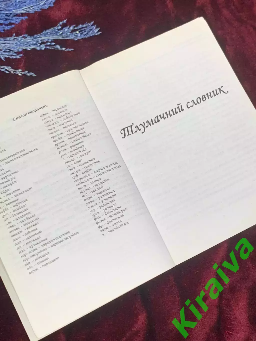 Книга толковый словарь для детей «Словниковий дивосвіт», 2006 год, Н2534 3