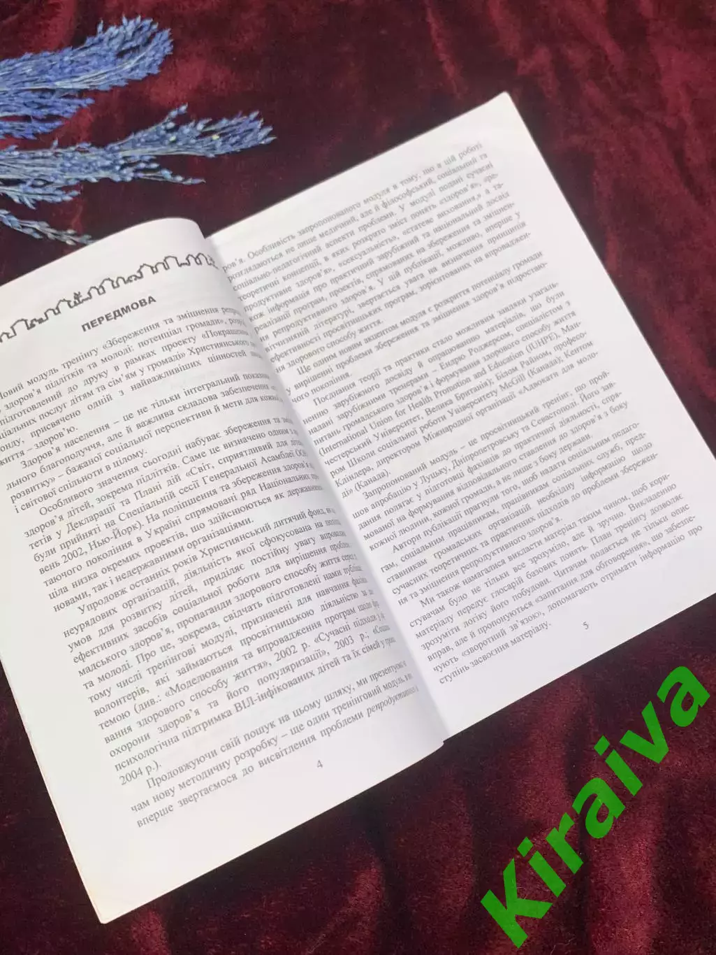 Книга «Укрепление репродуктивного здоровья подростков и молодёжи», 2004 г. Н2537 3