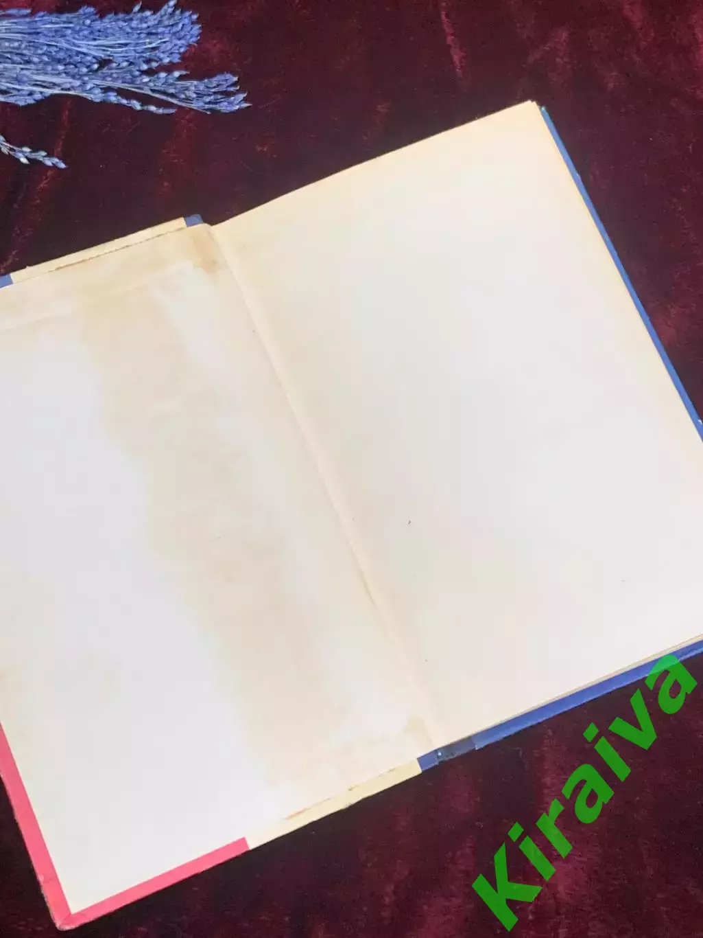 Книга «Домашняя всезнайка». Полезные советы для работающих женщин, 1973 г. Н2546 1