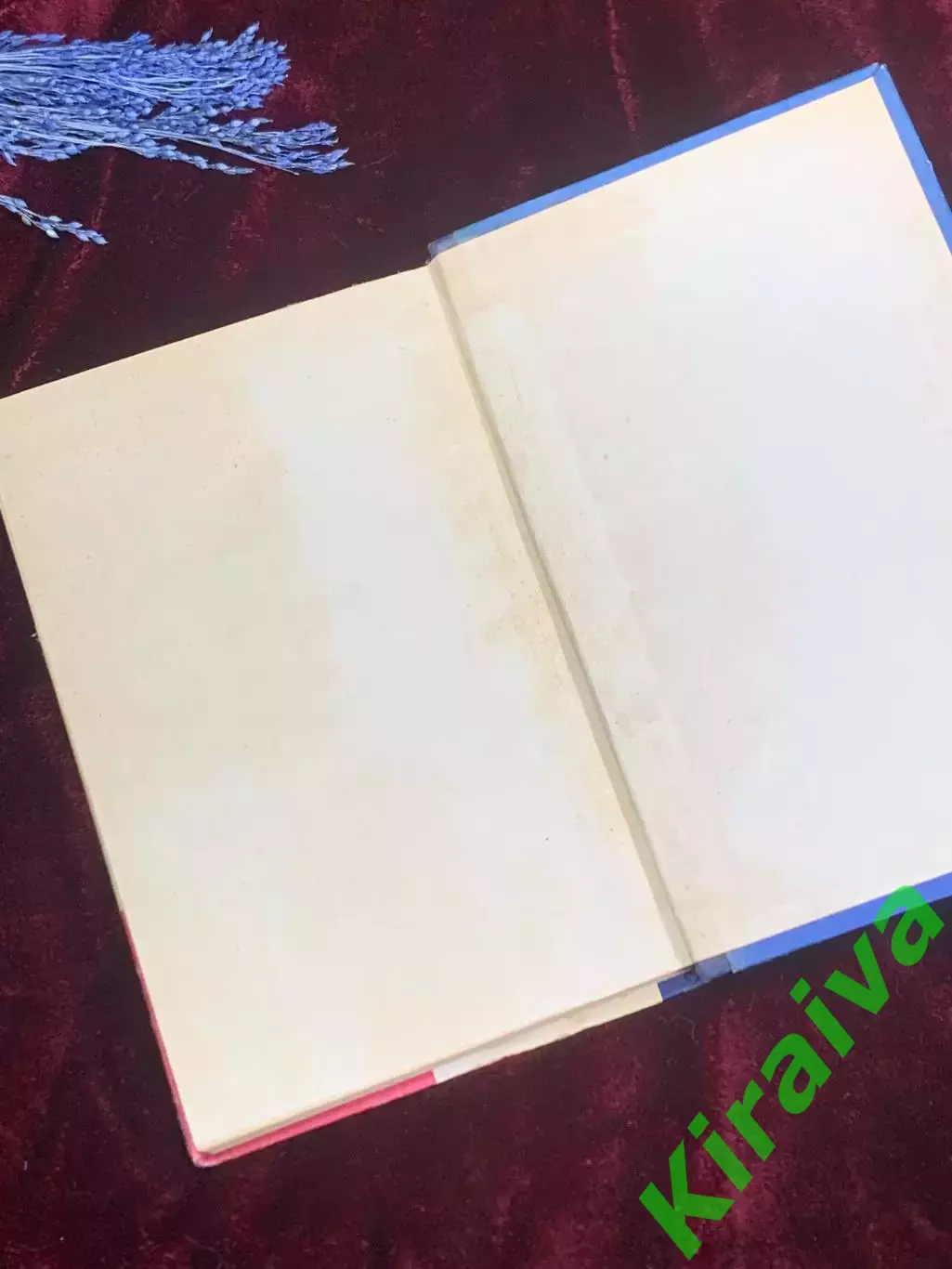 Книга «Домашняя всезнайка». Полезные советы для работающих женщин, 1973 г. Н2546 6