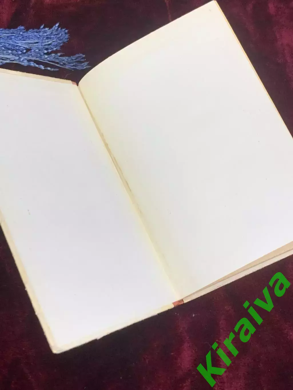 Книга кулинария «Блюда иностранной кухни» Рецепты блюд различных зарубежны Н2547 1