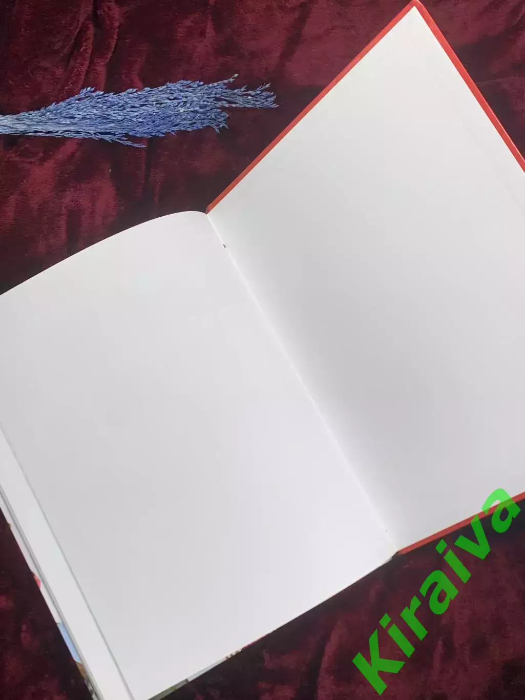 Книга самоучитель по рукоделию «Вяжем без спиц. Техника за 30 минут!» Н1040 5