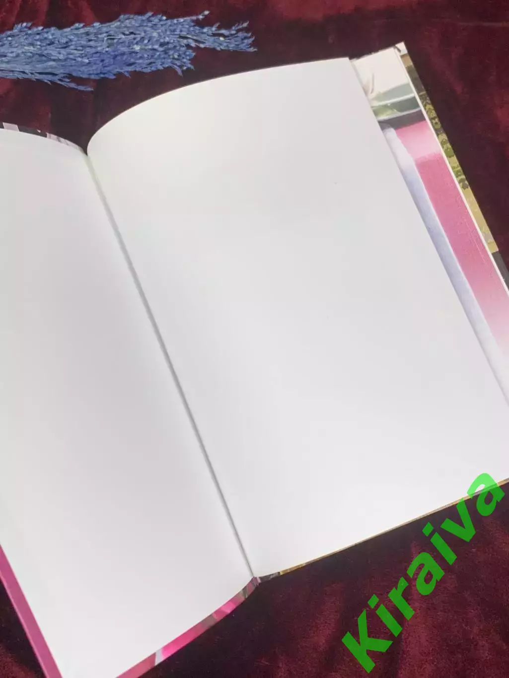 Книга по рукоделию «Вышиваем в технике сеть. 19 эффектных моделей» 2014 г. Н2560 1